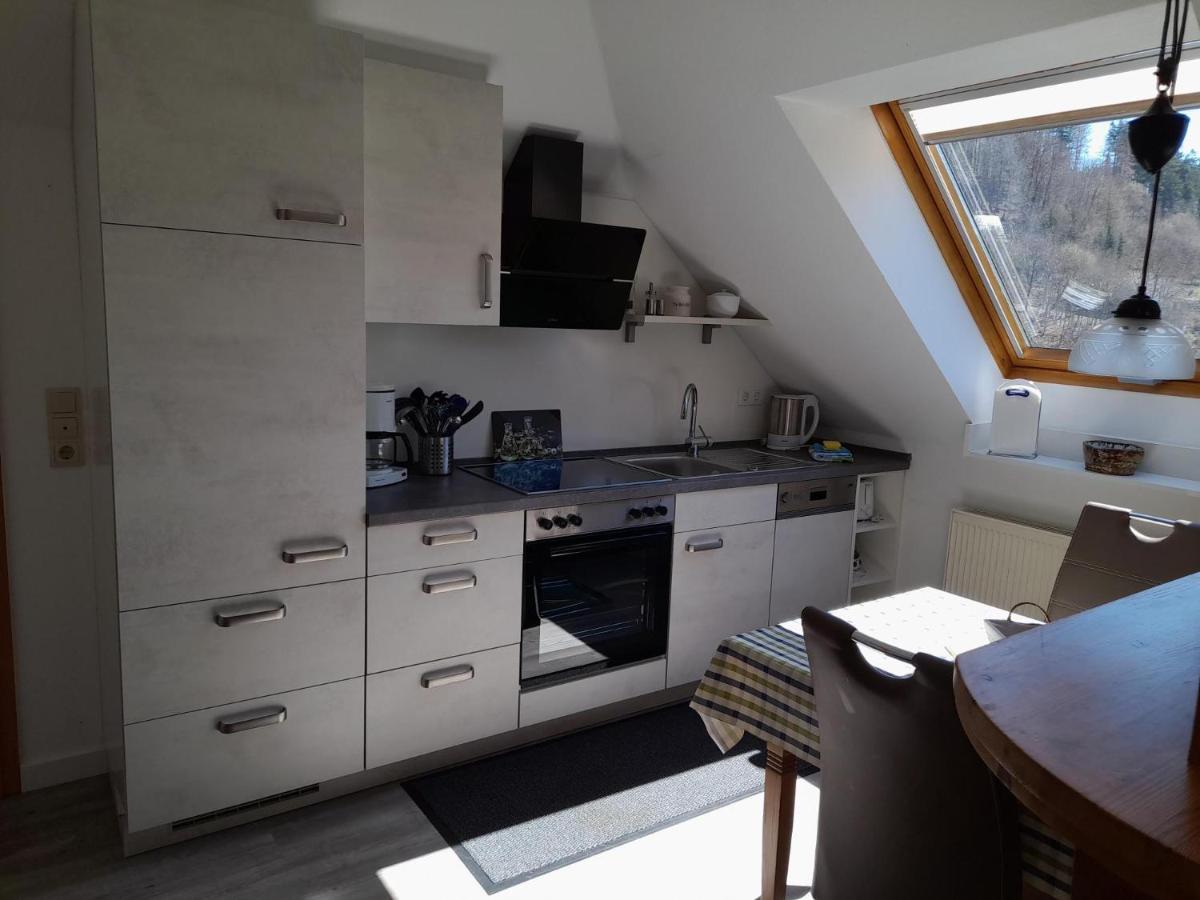 Haus Elsholz Willingen Apartman Willingen  Kültér fotó
