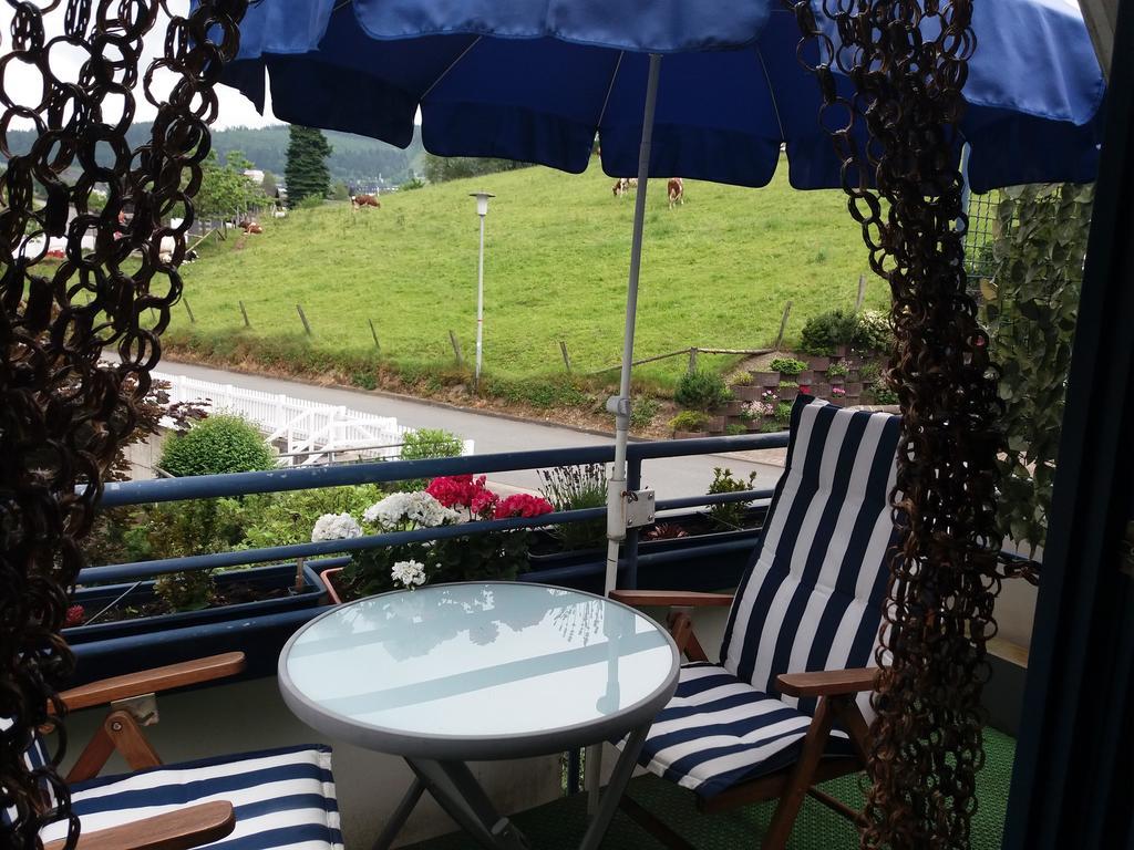 Haus Elsholz Willingen Apartman Willingen  Kültér fotó