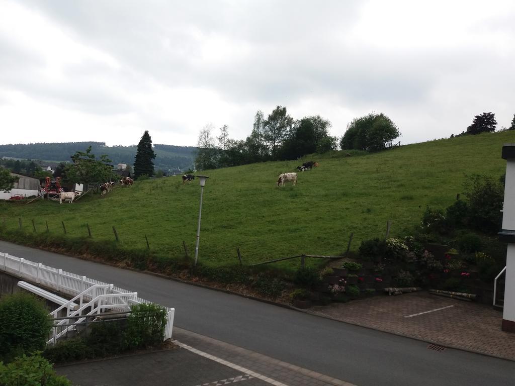 Haus Elsholz Willingen Apartman Willingen  Kültér fotó