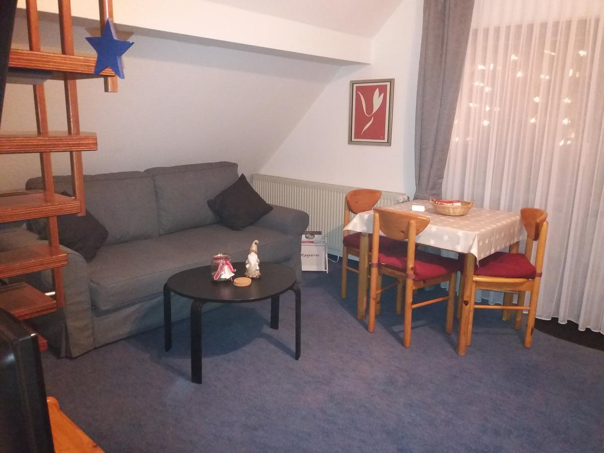 Haus Elsholz Willingen Apartman Willingen  Kültér fotó